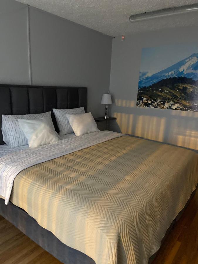 Blue House La Floresta 키토 외부 사진