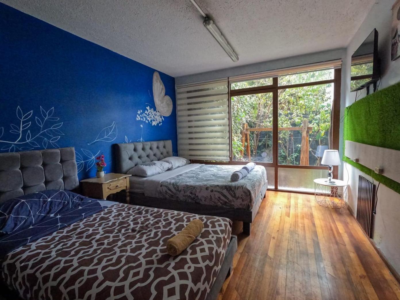 Blue House La Floresta 키토 외부 사진