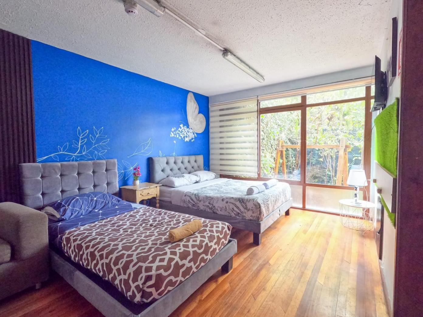 Blue House La Floresta 키토 외부 사진
